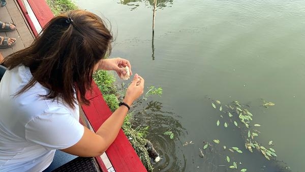 Tunca'nın su maymunları evcilleşti