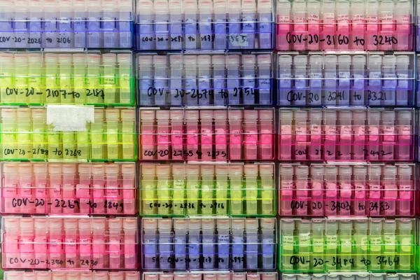 Yeni Kovid varyantı BA 2.86  tespit edildi