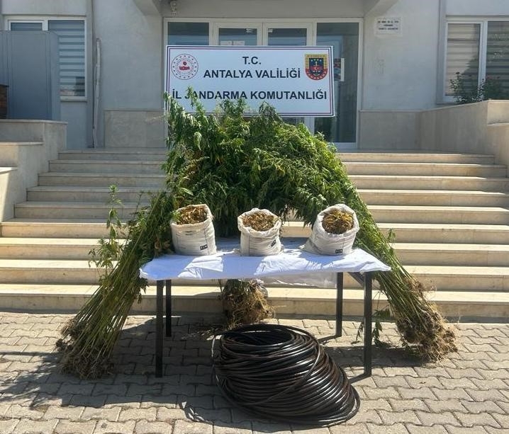 Yurt dışından getirilen uyuşturucuya jandarma operasyonu