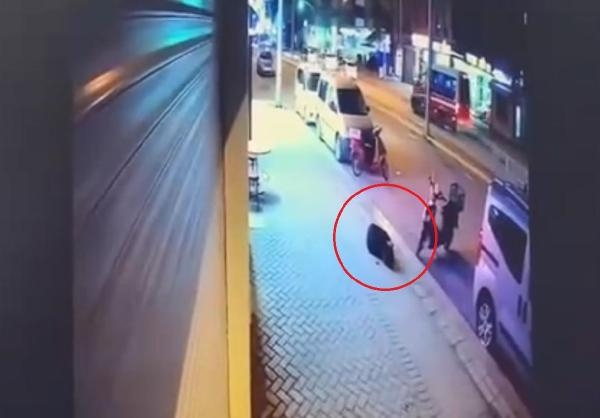 Zerrin'in sevgilisine beraat kararına bakanlıktan itiraz: Kamu vicdanında derin yaralar açmakta