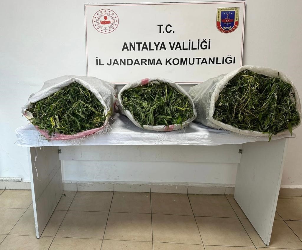 19 kilo 745 gram skunk maddesi ele geçirildi