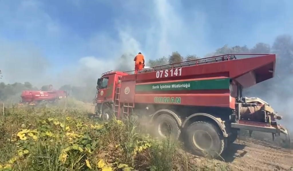Antalya'da kuş cennetinde çıkan yangın kontrol altına alındı