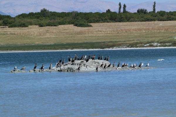'Burdur Gölü etrafında vahşi sulama olmamalı, vatandaş bilinçlendirilmeli'