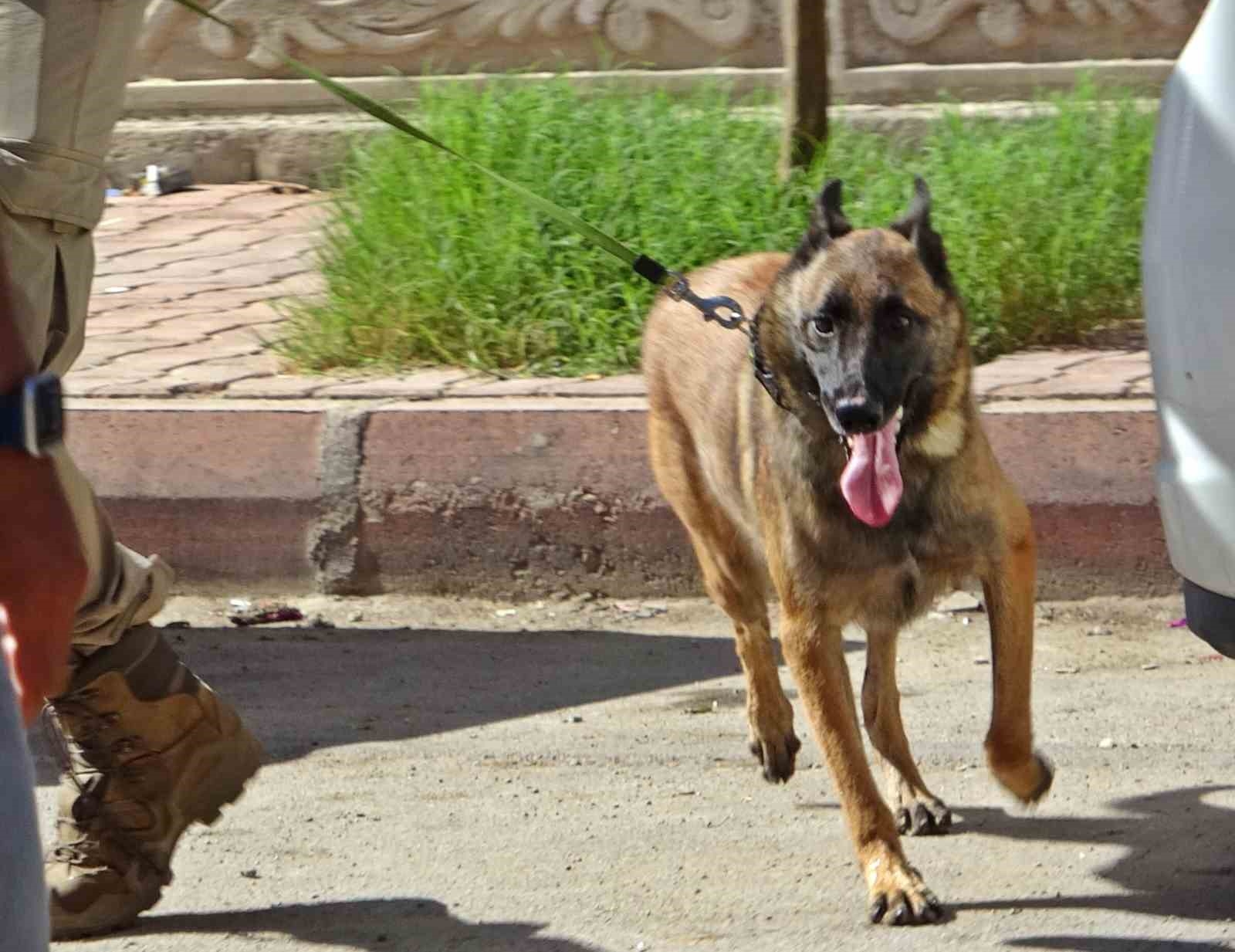 Evlerinden çöp atmaya çıkanlar dahi didik didik arandı !
