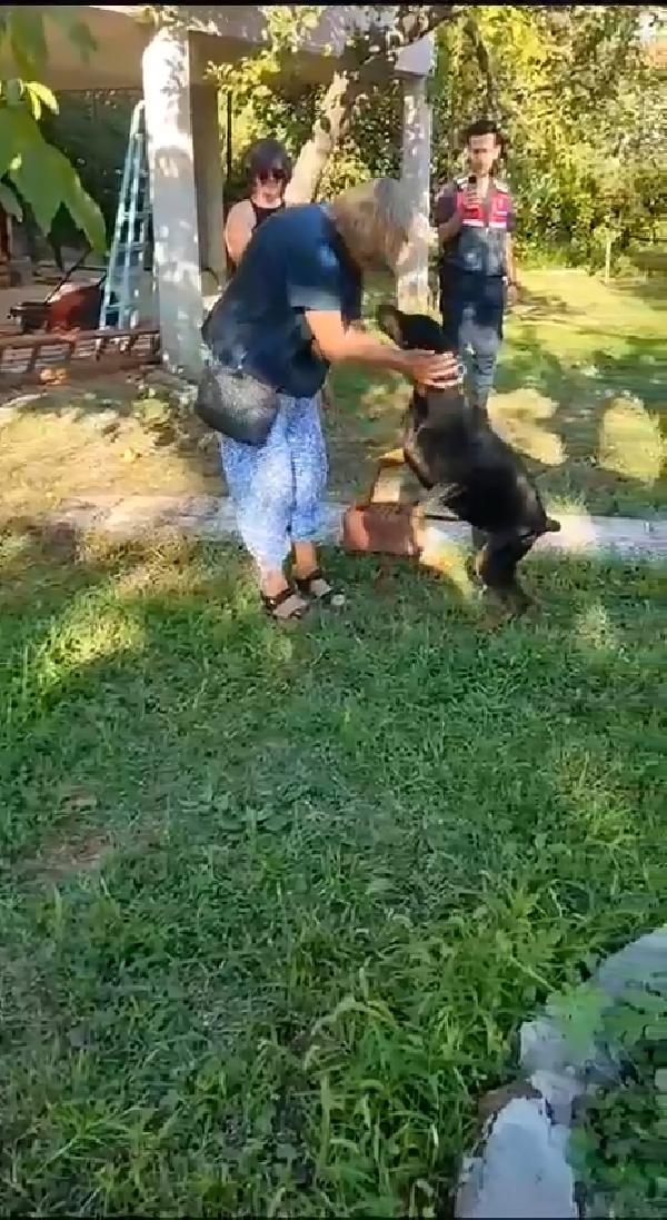 Korhan Berzeg'in 74 gün sonra evine dönen köpeği Tina, Angela Berzeg ile buluştu