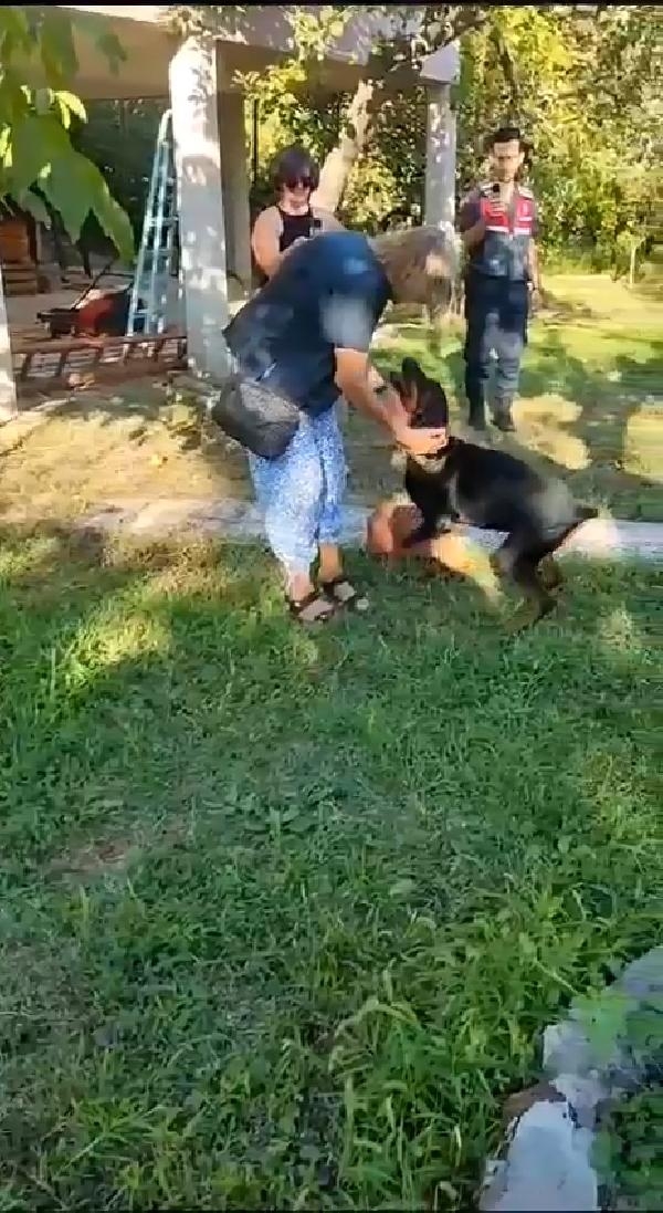 Korhan Berzeg'in 74 gün sonra evine dönen köpeği Tina, Angela Berzeg ile buluştu