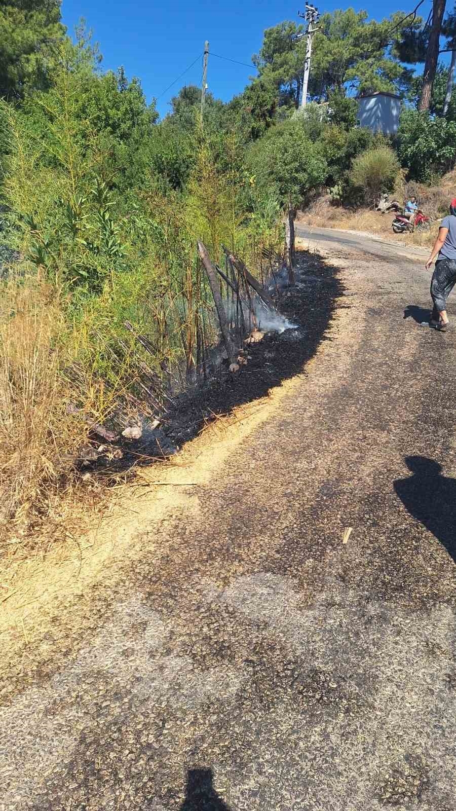 Kumluca'da 4 ayrı noktada çıkan eş zamanlı yangında sabotaj şüphesi