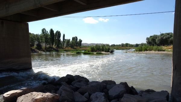 Türkiye'nin en uzun nehri Kızılırmak'ta balık ölümleri