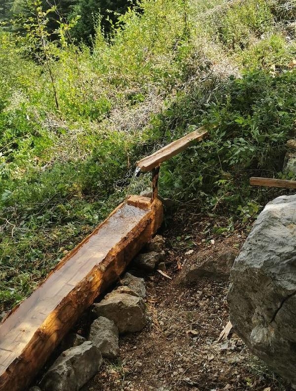 Yaban keçisi ailesi fotokapanda