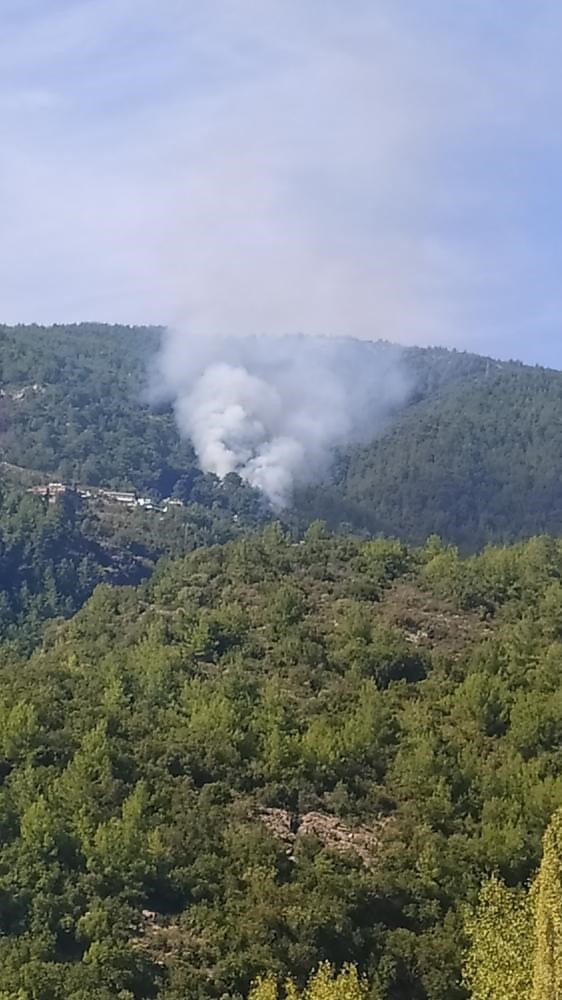 Alanya'da orman yangını