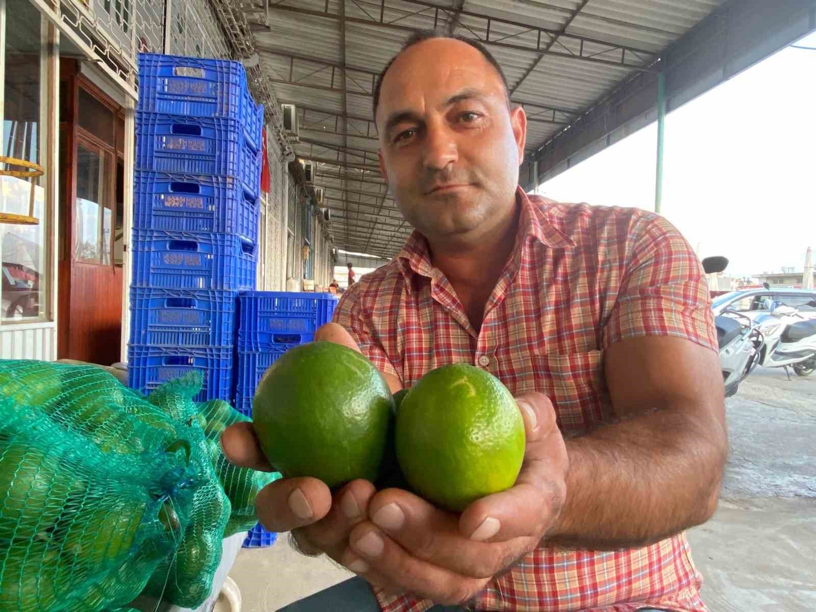 Antalya'da halde limon 3 TL'ye kadar düştü