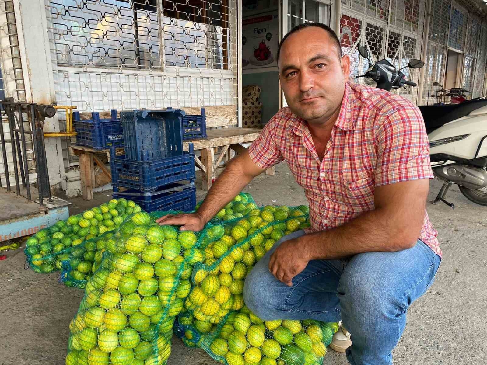 Antalya'da halde limon 3 TL'ye kadar düştü