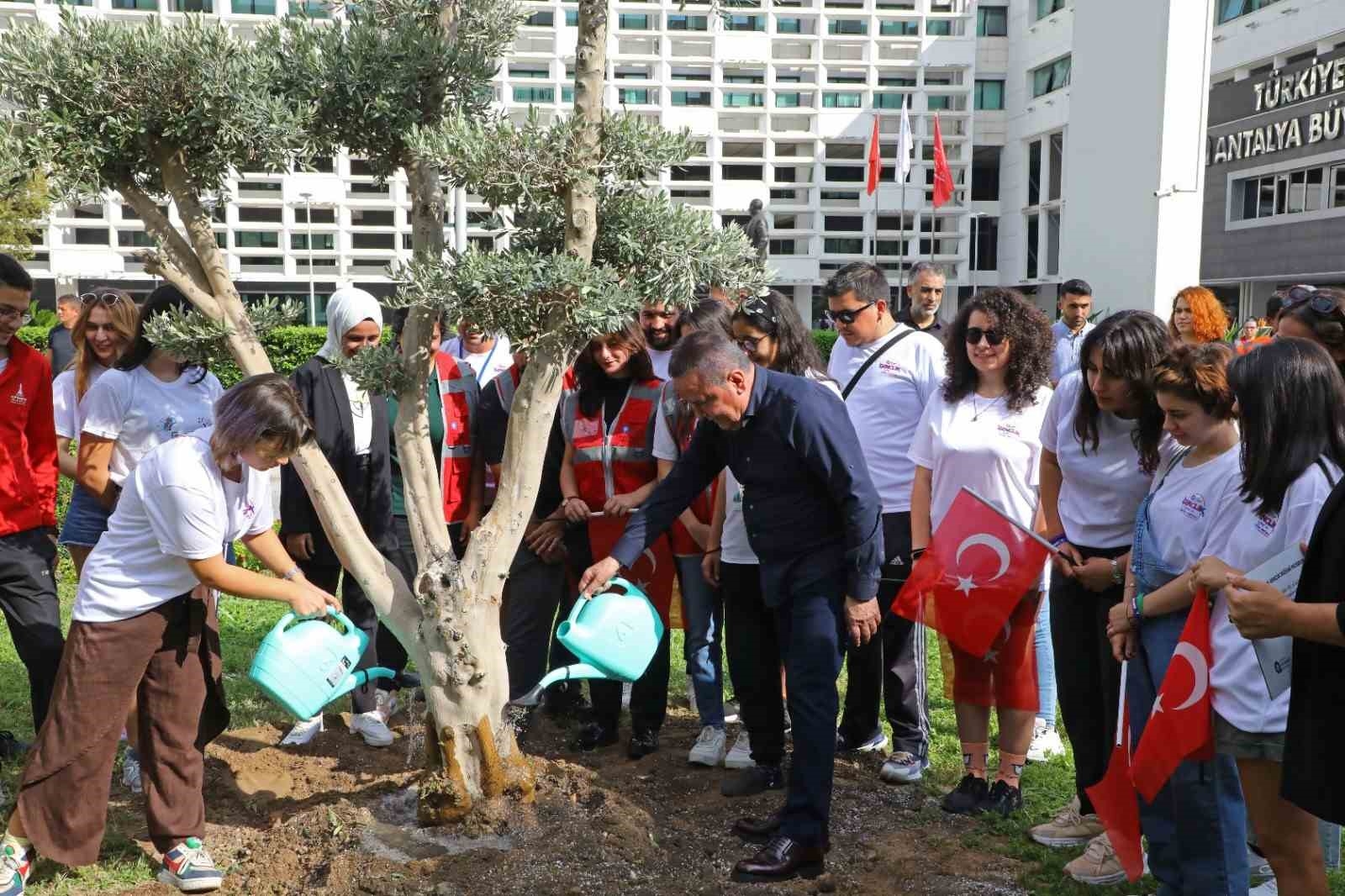 Başkan Böcek gençlerle barış için zeytin ağacı dikti