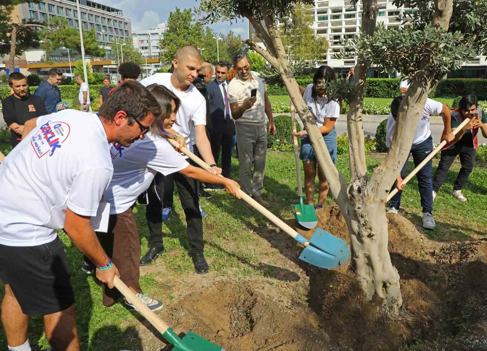 Başkan Böcek gençlerle barış için zeytin ağacı dikti