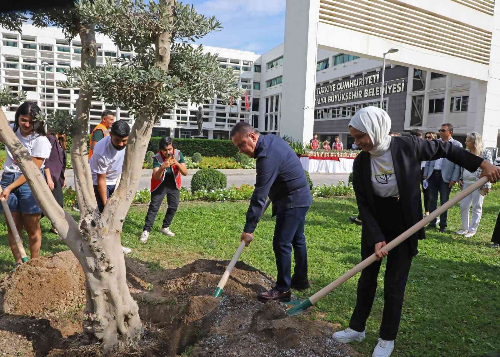 Başkan Böcek gençlerle barış için zeytin ağacı dikti