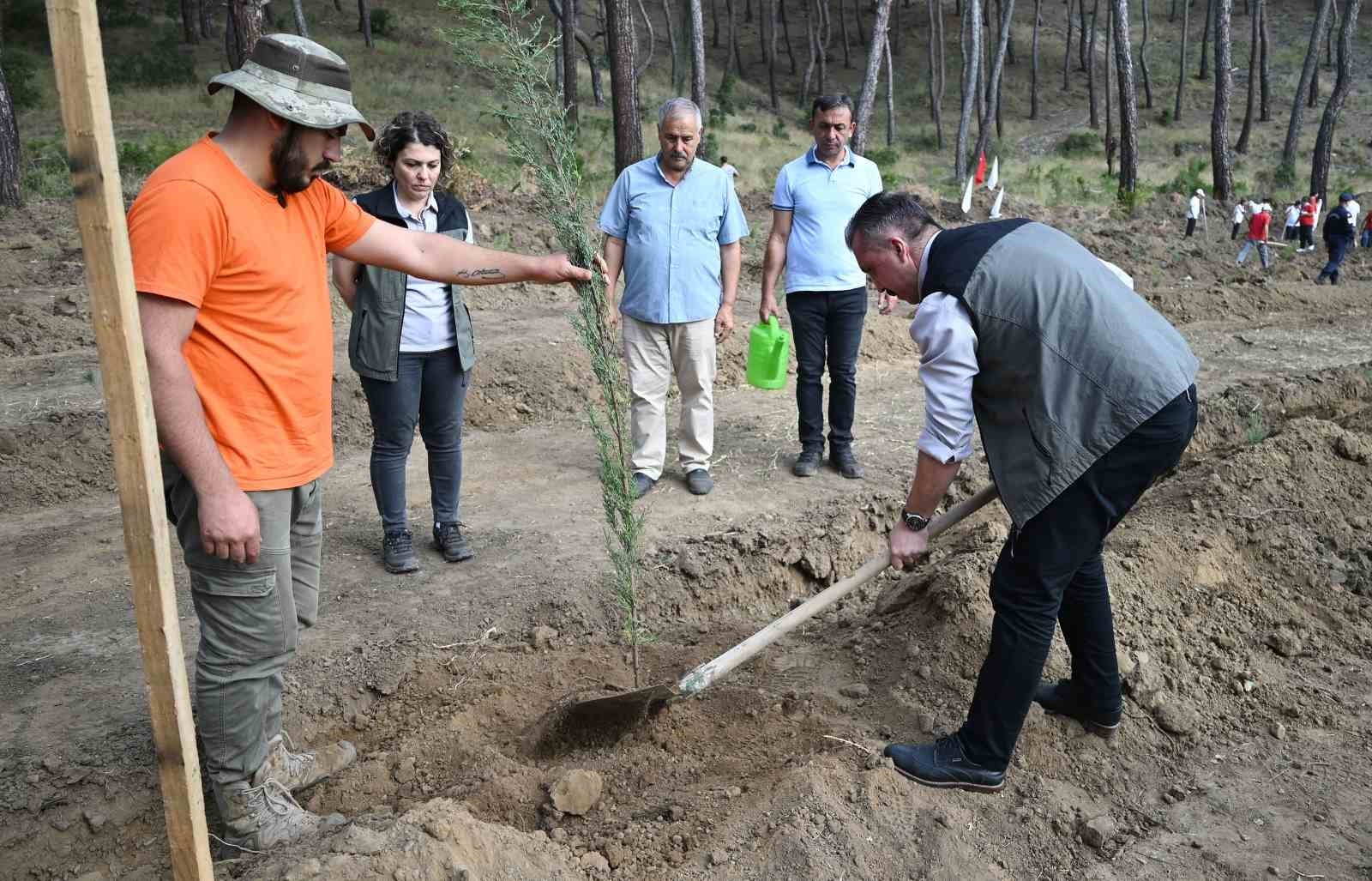 Cumhuriyet'in 100'üncü yılında 1923 fidan dikildi