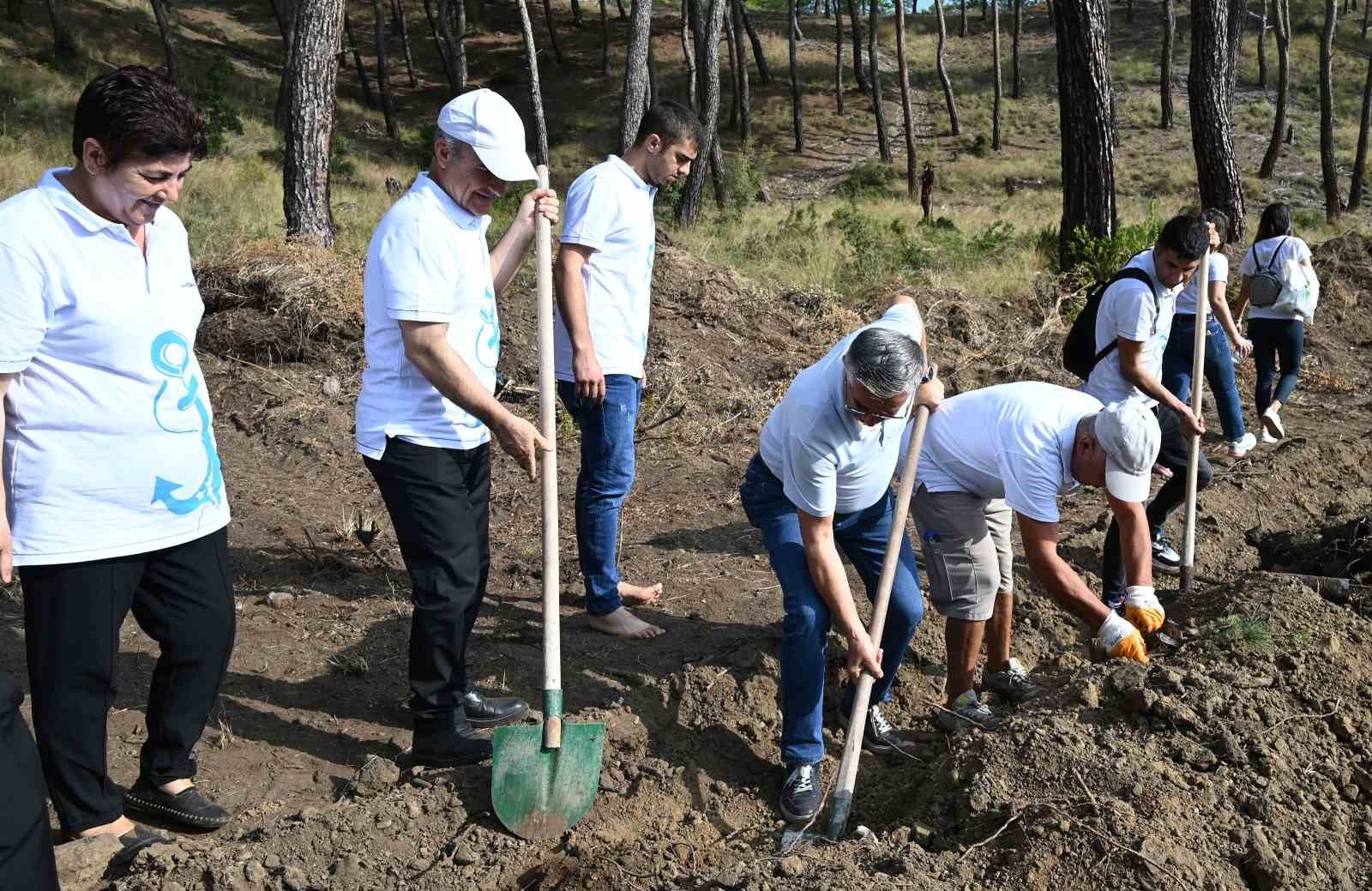 Cumhuriyet'in 100'üncü yılında 1923 fidan dikildi