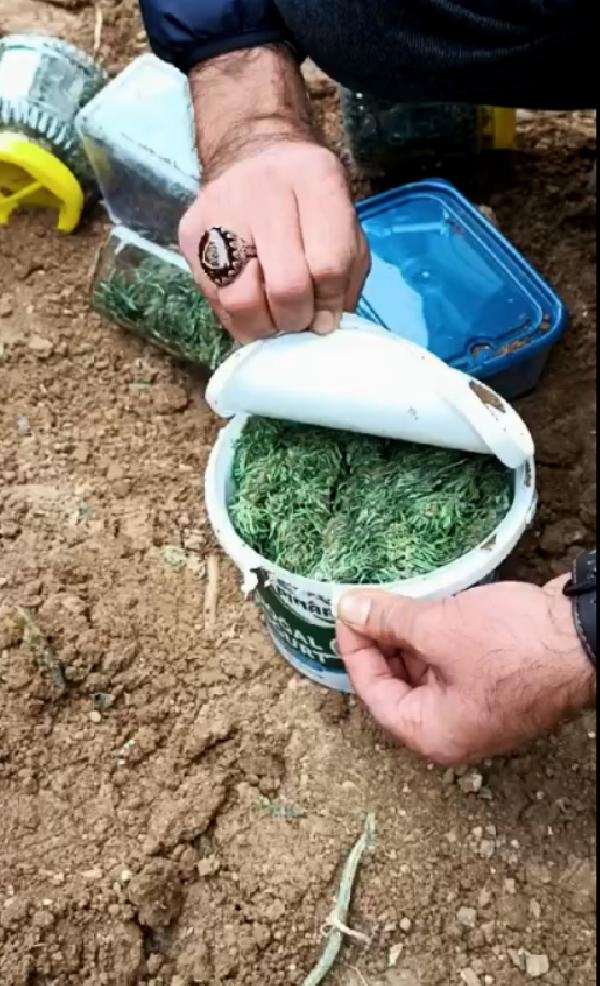 Kavga soruşturmasında, bahçeye kavanozla gömülmüş 1 kilo uyuşturucu ele geçirildi