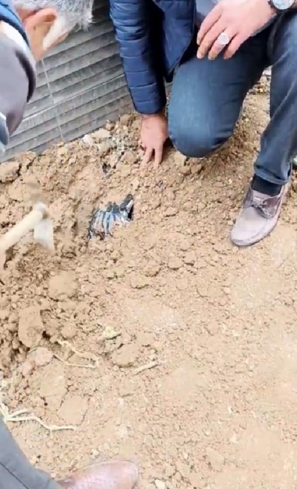 Kavga soruşturmasında, bahçeye kavanozla gömülmüş 1 kilo uyuşturucu ele geçirildi