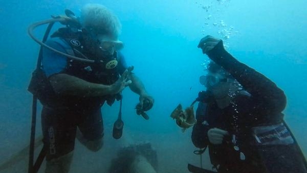 Misinaya takılan lagosa, hayat veren dokunuş