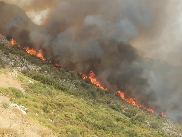 Muğla'da makilik yangını