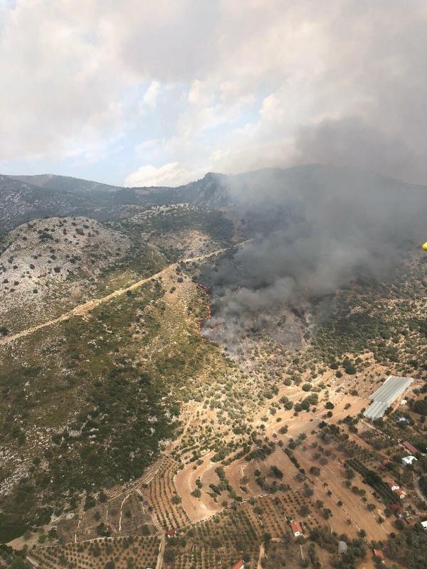 Muğla'da makilik yangını