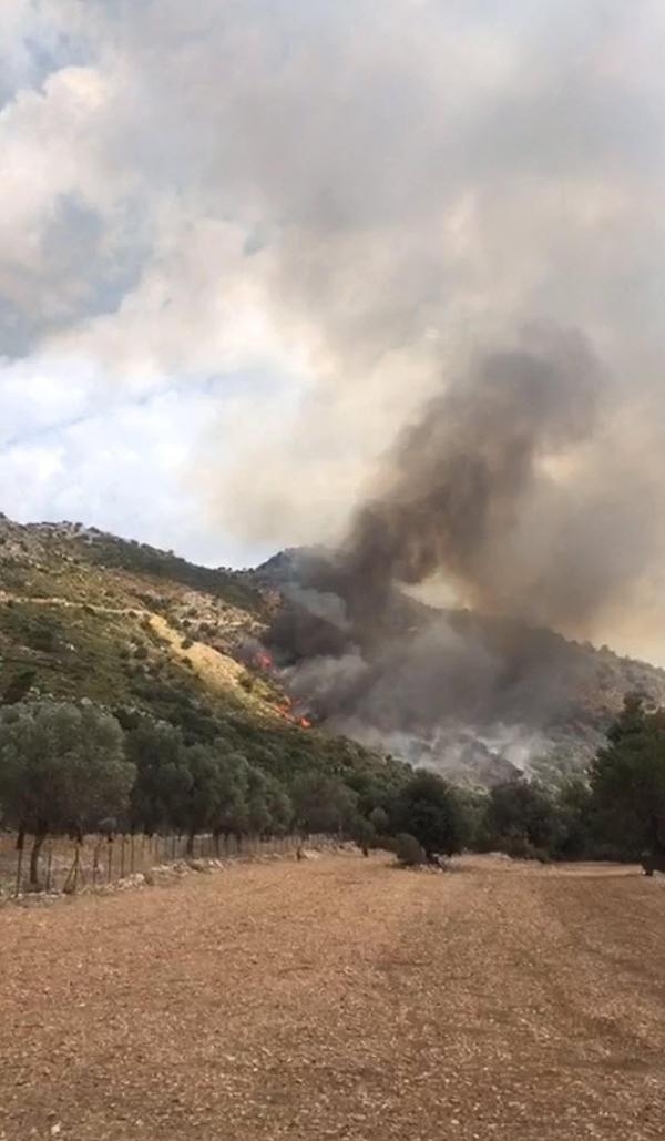 Muğla'da makilik yangını