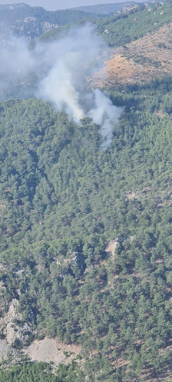 Muğla'da orman yangını