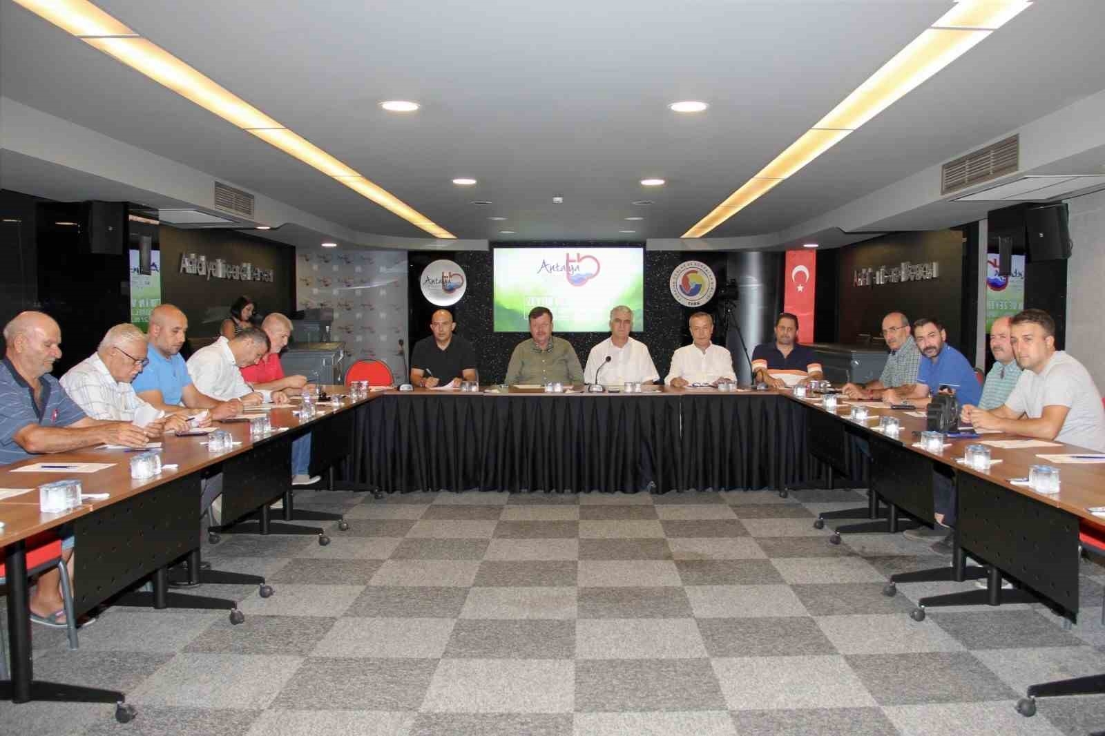 Zeytinde yüzde 50 oranında rekolte kaybı yaşandı
