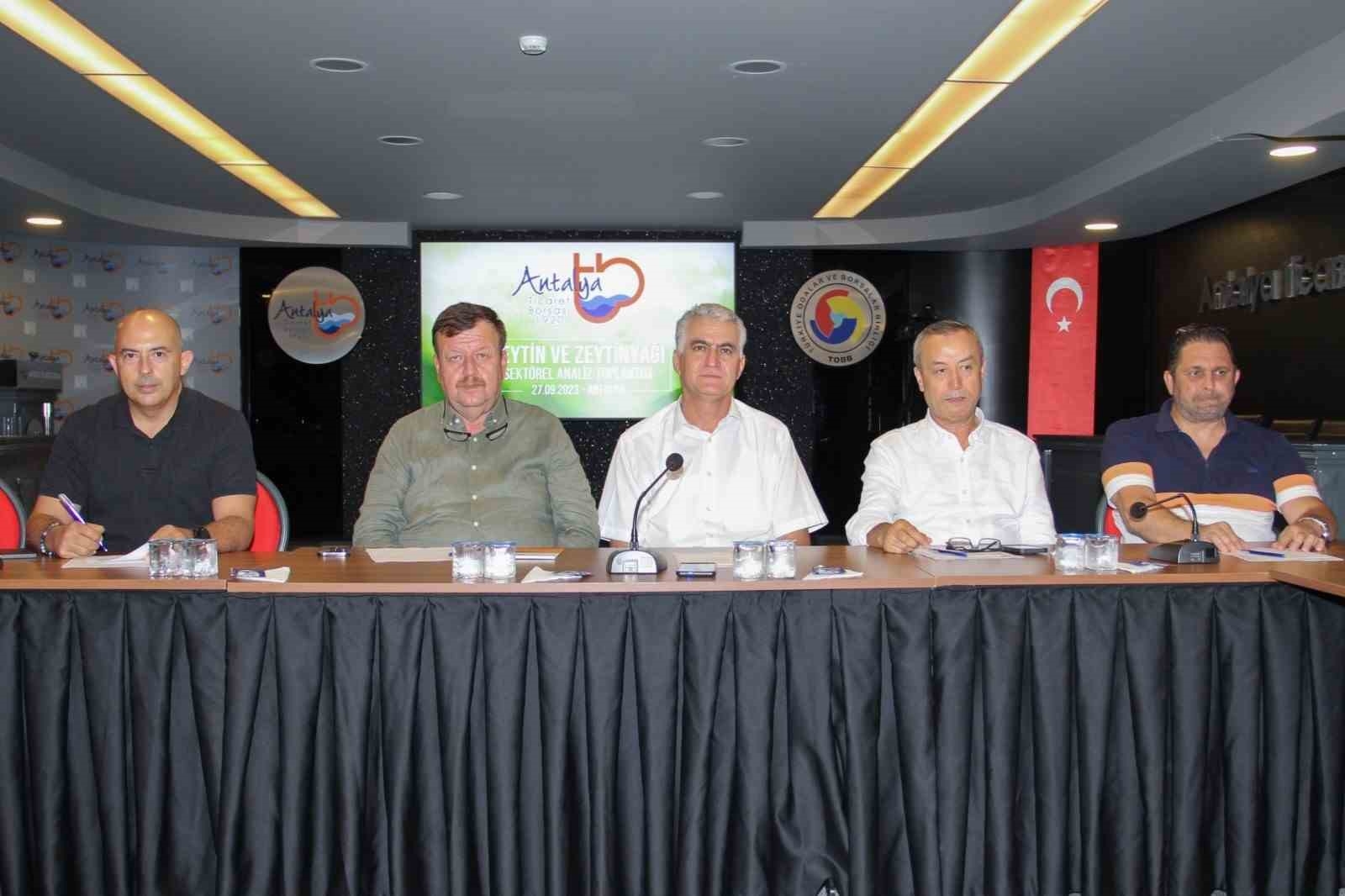 Zeytinde yüzde 50 oranında rekolte kaybı yaşandı