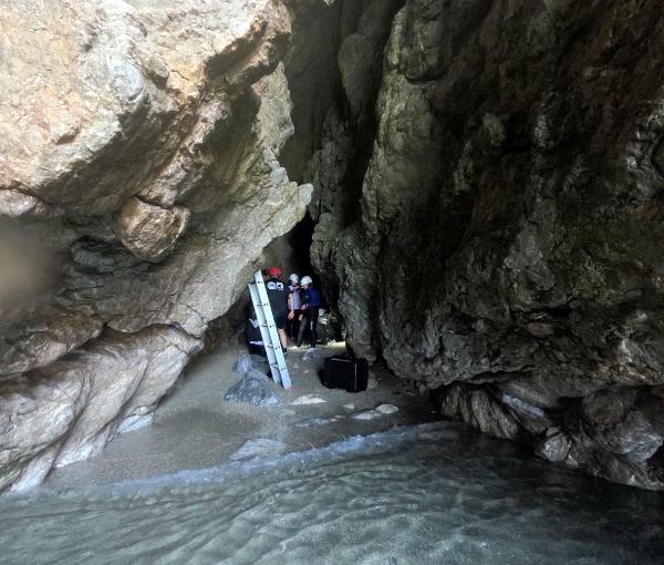Akdeniz fokunun azalmasındaki en büyük etken; insan faktörü