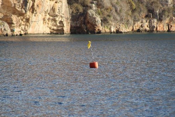 Akdeniz'e Nefes Programı ile denizlerin akciğeri deniz çayırları korunacak