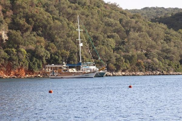 Akdeniz'e Nefes Programı ile denizlerin akciğeri deniz çayırları korunacak