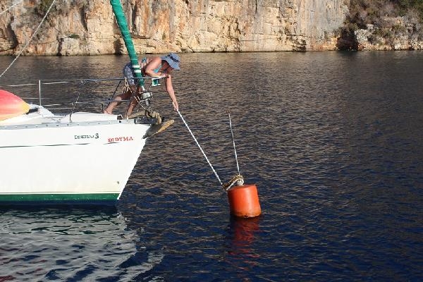 Akdeniz'e Nefes Programı ile denizlerin akciğeri deniz çayırları korunacak