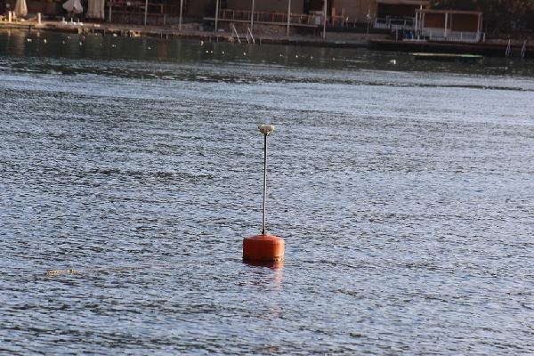 Akdeniz'e Nefes Programı ile denizlerin akciğeri deniz çayırları korunacak