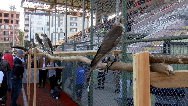 Bakan Aşkın Bak: İnşallah zalimler değil, mazlumlar kazanacak