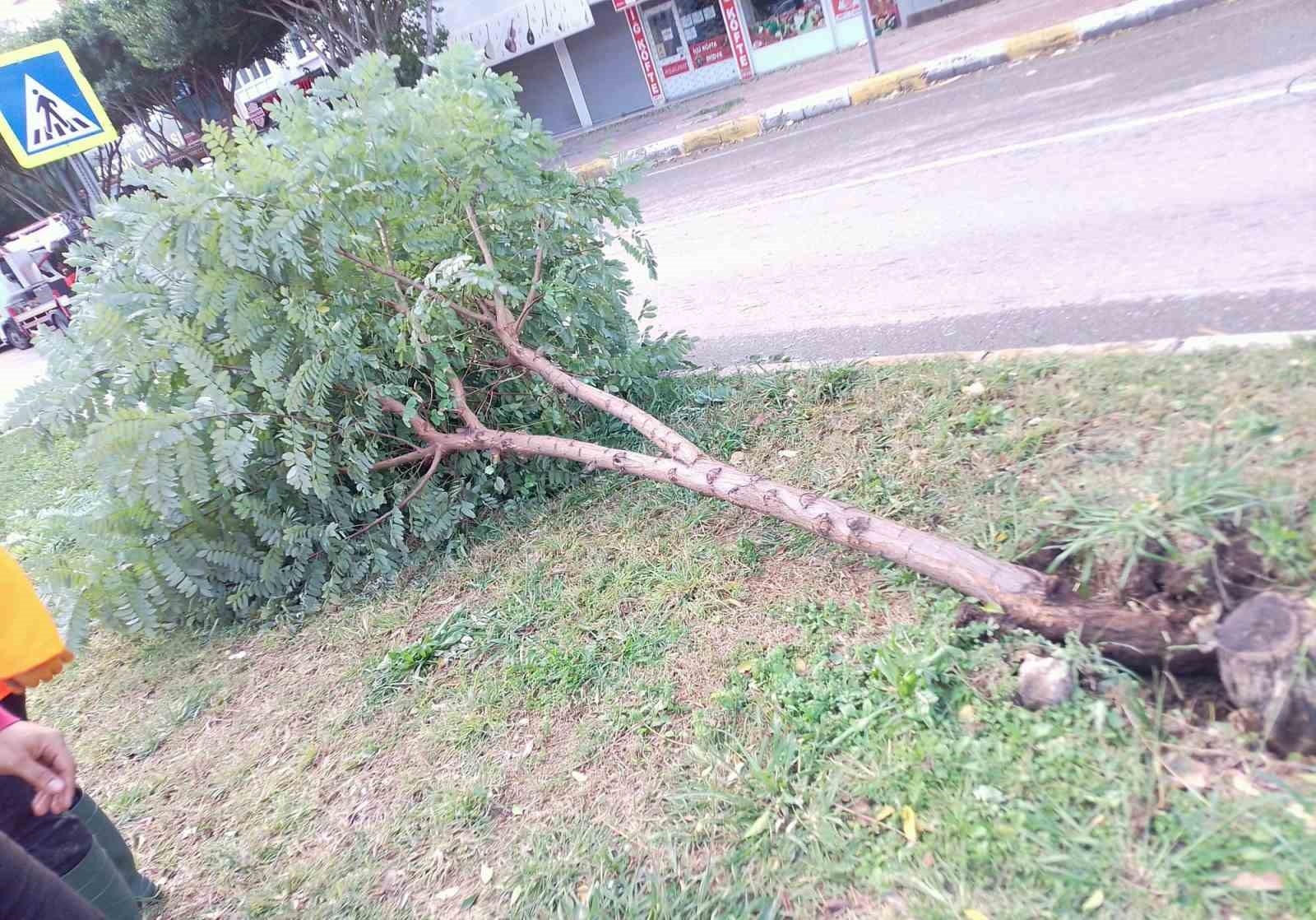Büyükşehir seferber oldu, bir gecede 174 vakaya müdahale etti