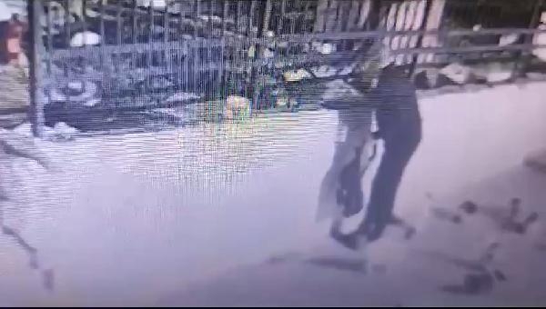 Fatih'te yavru kediyi çantasına koyan şüpheli kamerada