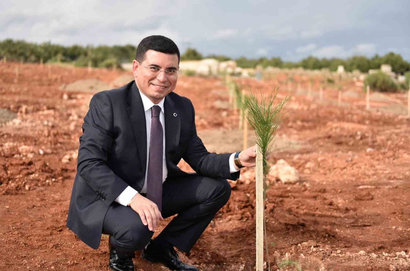 Kepez'e 30 bin zeytin fidanı dikilmesi planlanıyor