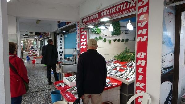 Lüferin artışı palamudun önünü kesti