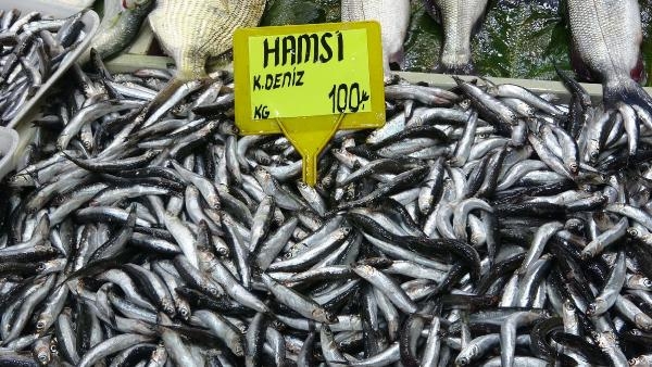 Lüferin artışı palamudun önünü kesti