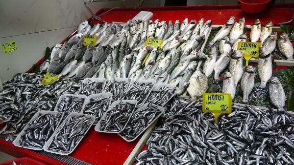 Lüferin artışı palamudun önünü kesti