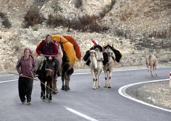 Sarıkeçili Yörüklerinin develi 'kış yurdu' yolculuğu