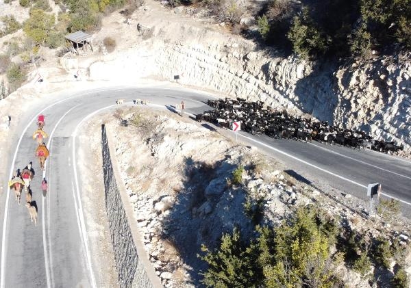 Sarıkeçili Yörüklerinin develi 'kış yurdu' yolculuğu