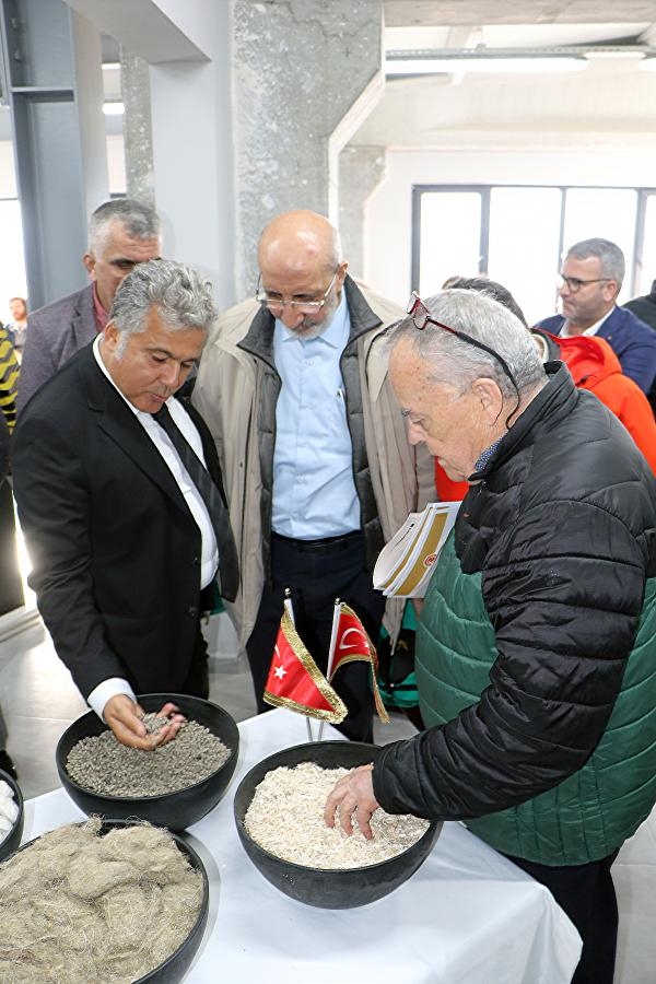Türkiye'nin ilk tescilli kenevir tohumu 'Narlı' hasat edildi