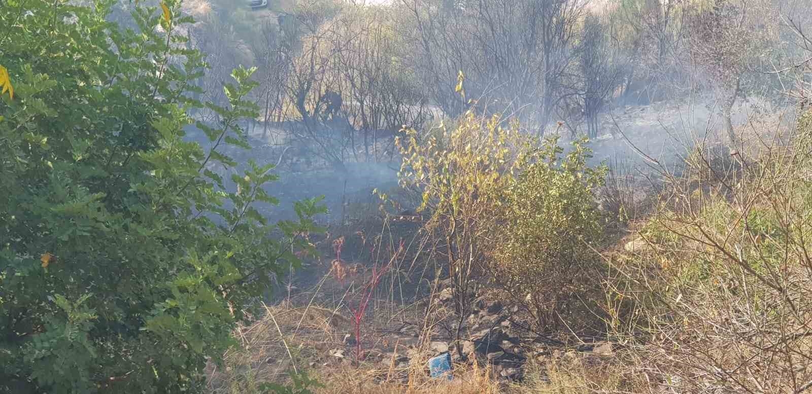 Yakılan sera atıkları yangına sebep oldu