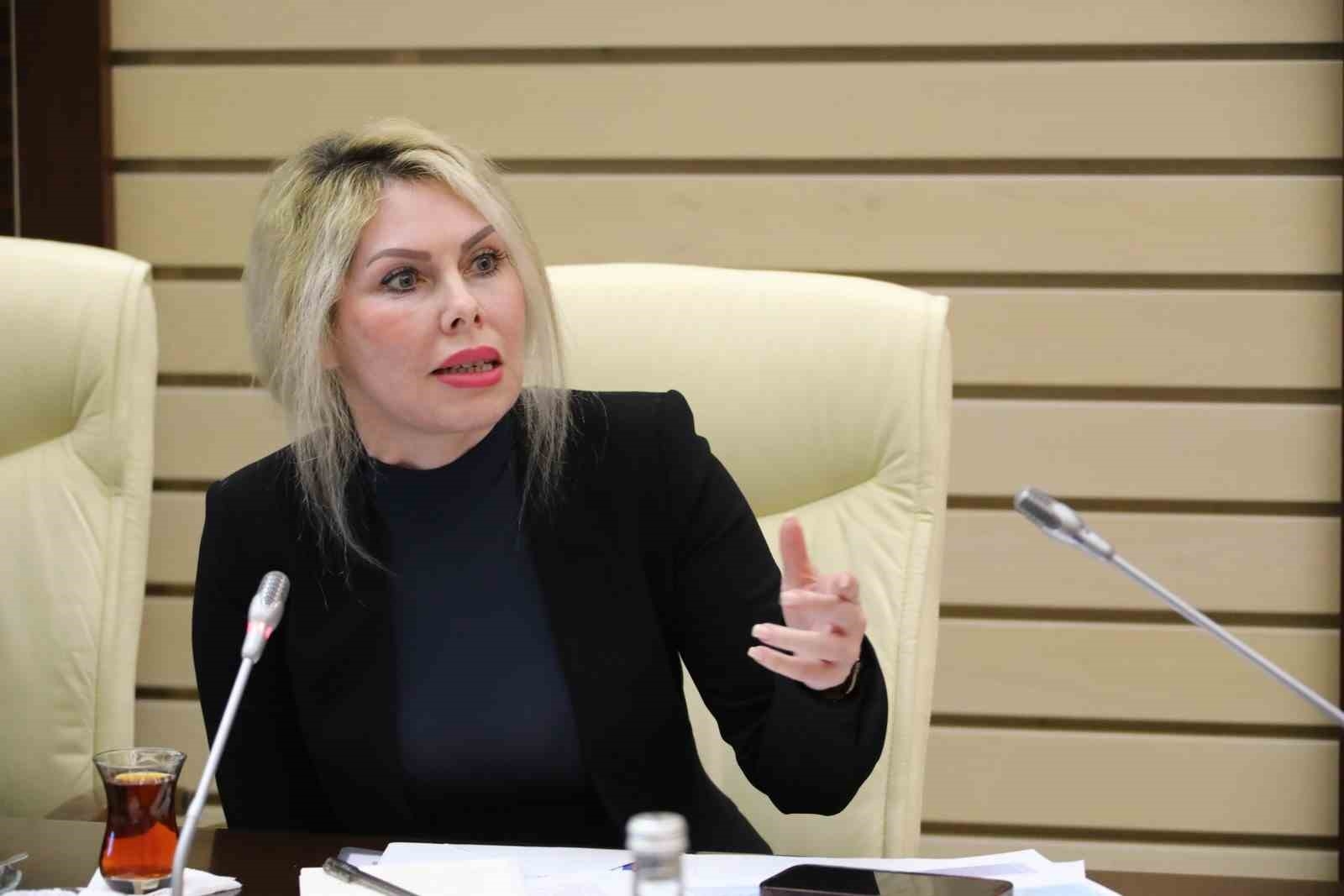 Araştırma üniversitesi adayı