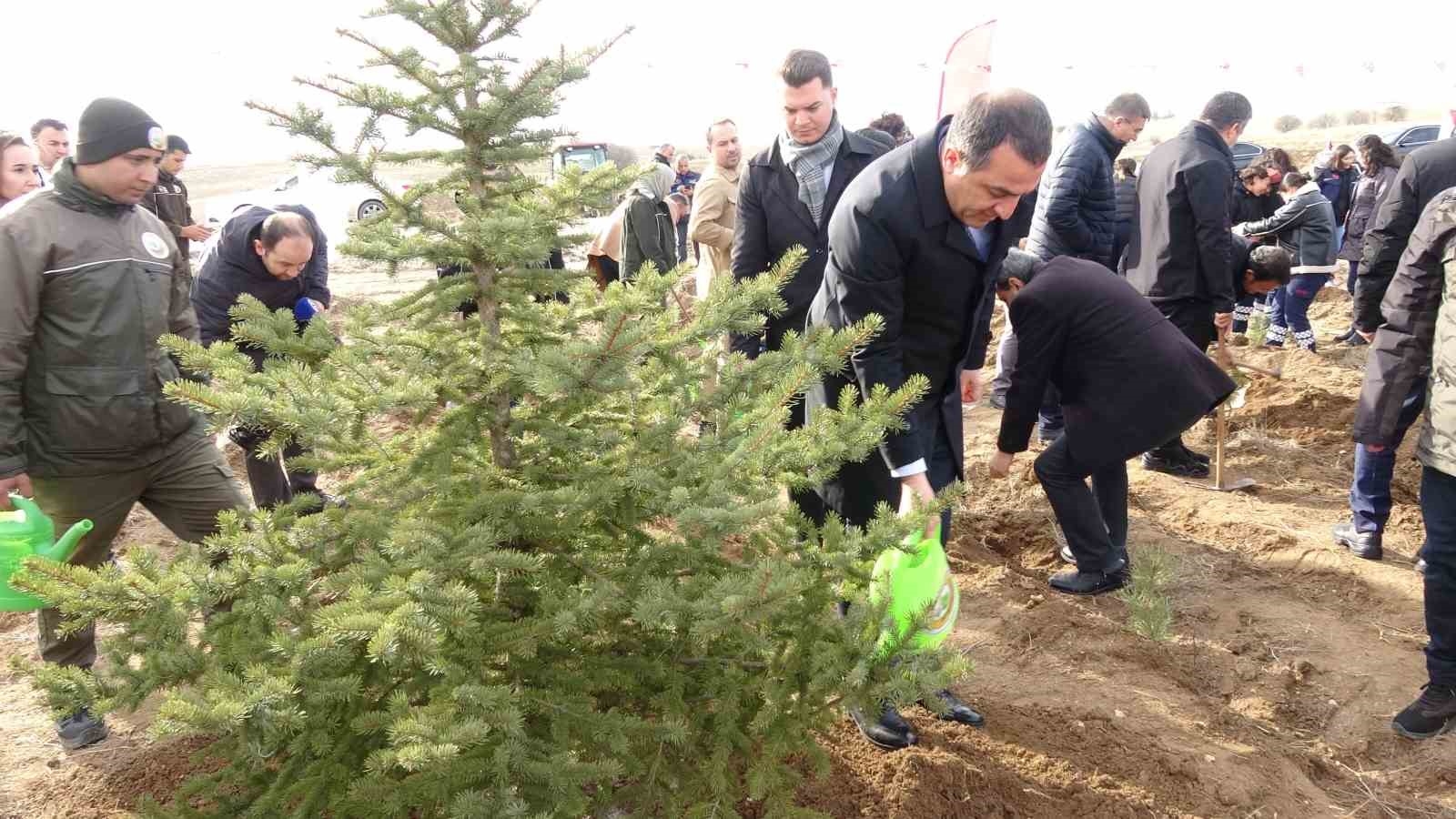 Burdur'da Valilik 100'üncü Yıl Hatıra Ormanı'nda bin fidan toprakla buluştu