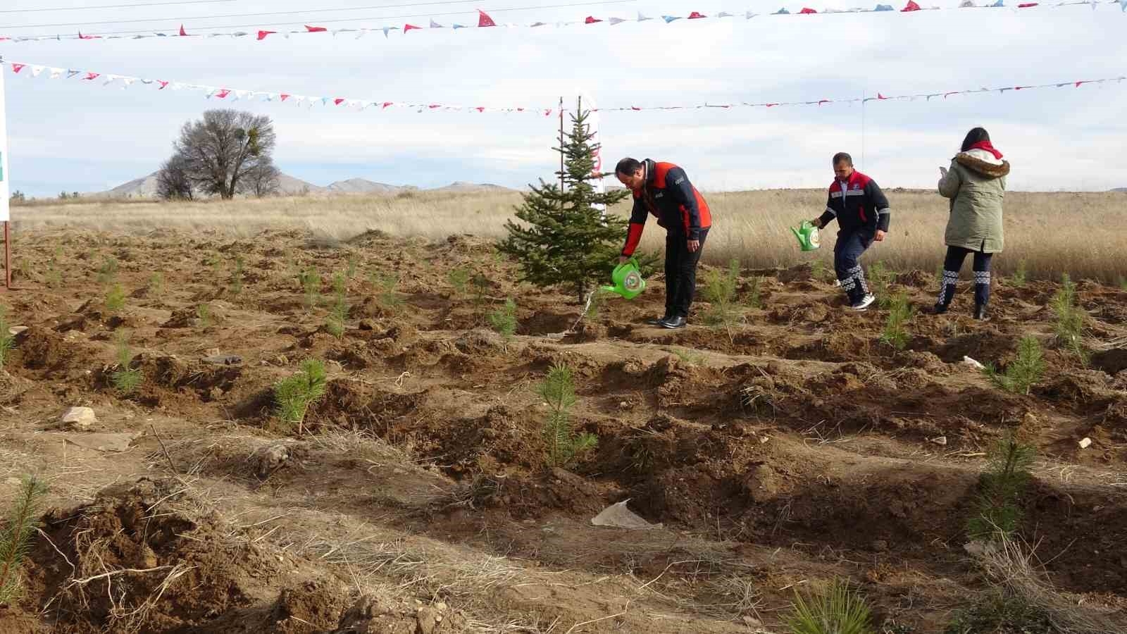 Burdur'da Valilik 100'üncü Yıl Hatıra Ormanı'nda bin fidan toprakla buluştu