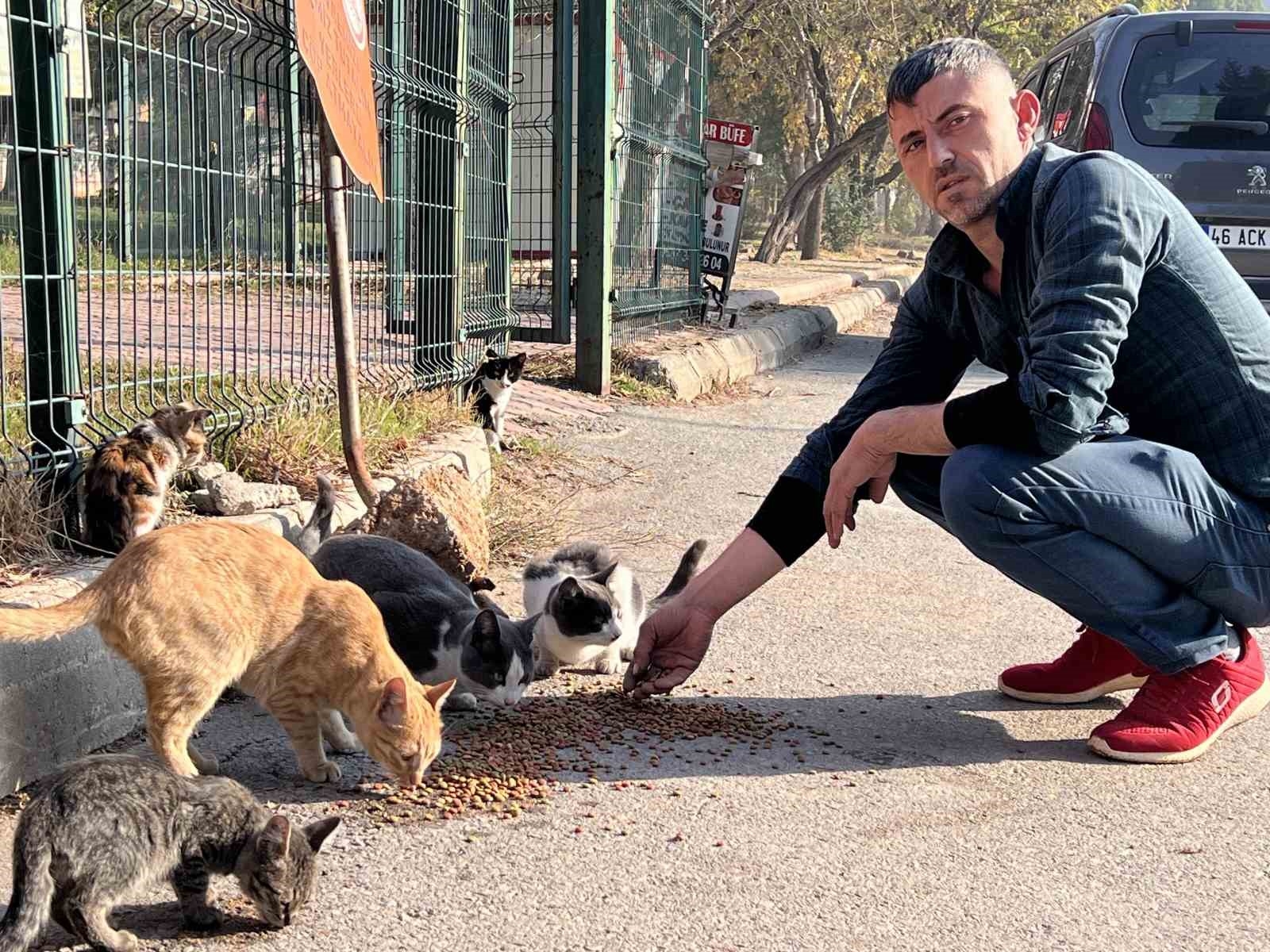 'Enkaz' isimli kedileri enkaz bölgesinde besliyor